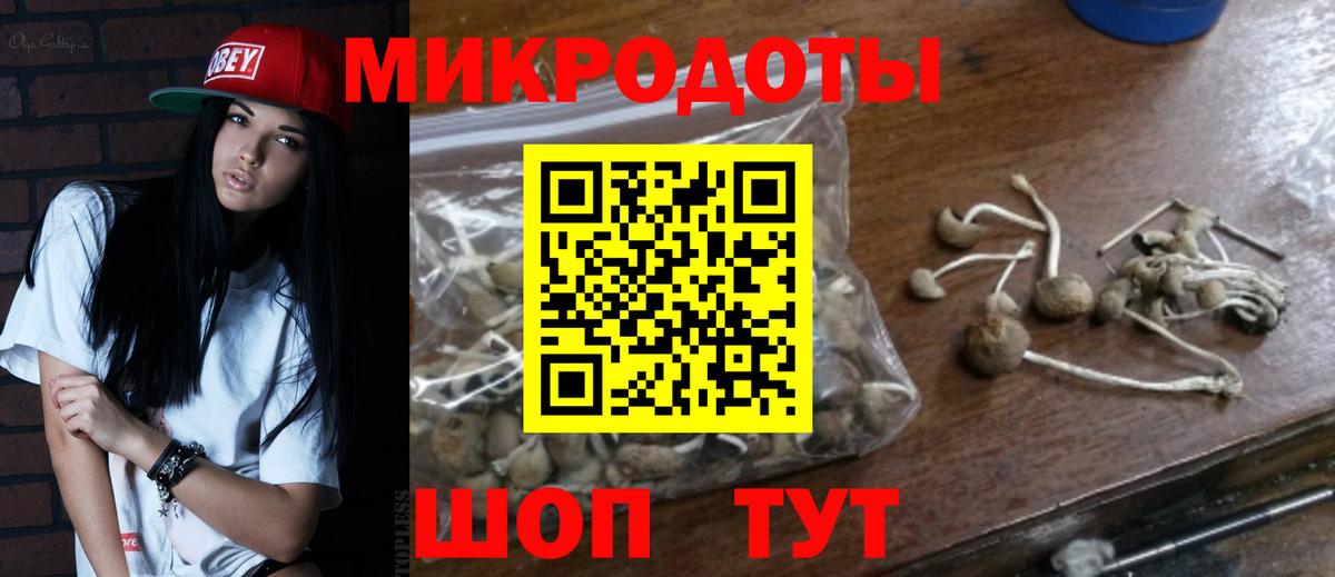 Галлюциногенные грибы MAGIC MUSHROOMS  Вход с VPN  Кирово-Чепецк  Псилоцибиновые грибы Psilocybine cubensis 